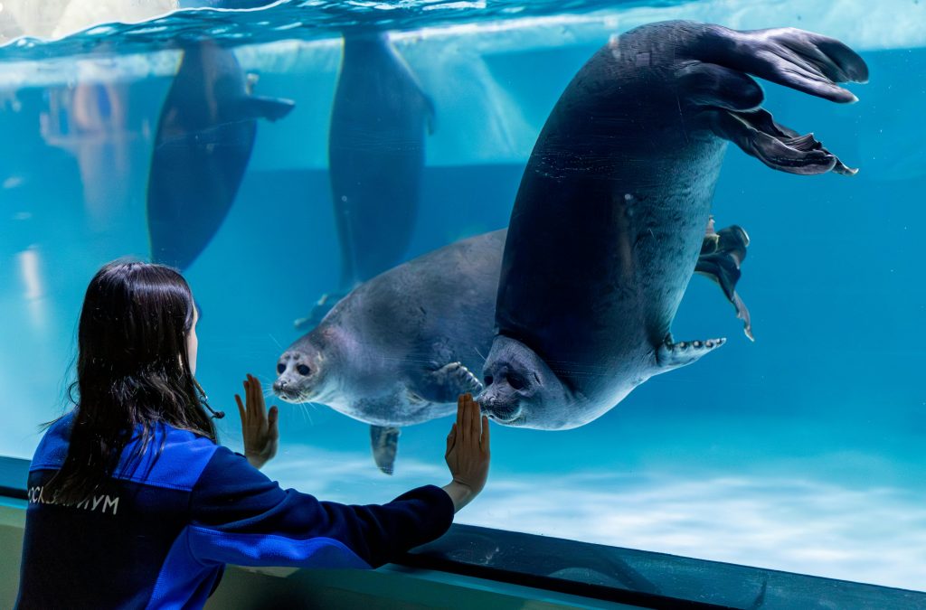 At the Top + Dubai Aquarium + UnderWater Zoo redsand tourism