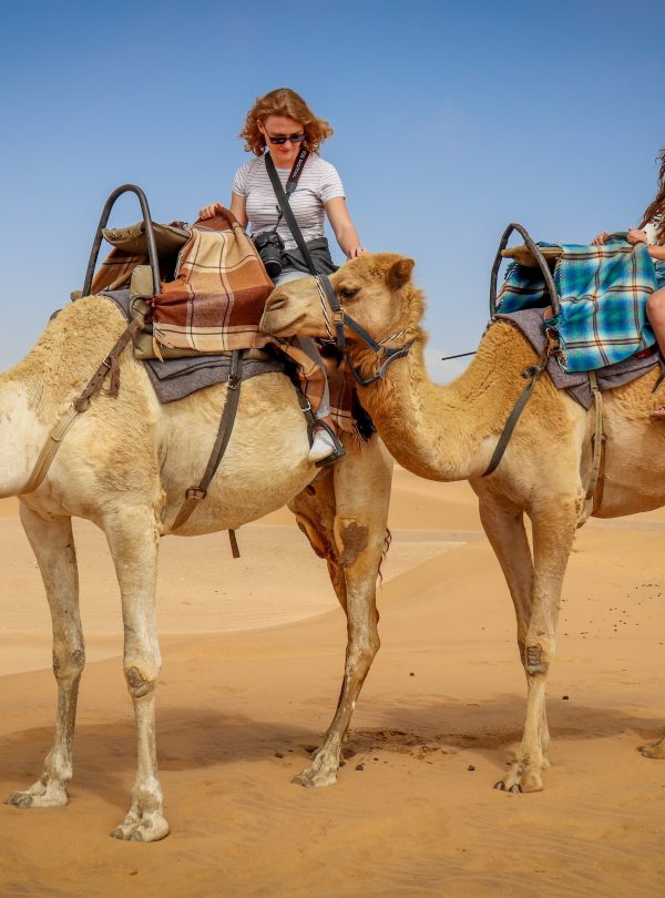 Camel Ride Tourist Dubai DMC Redsand