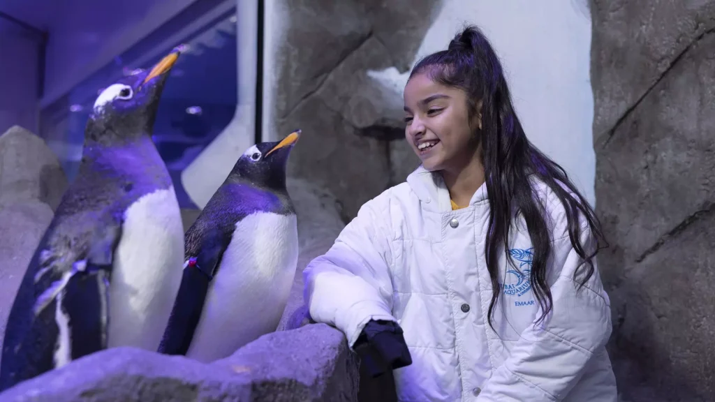 Dubai Aquarium & Underwater Zoo- Redsand -DMC-2