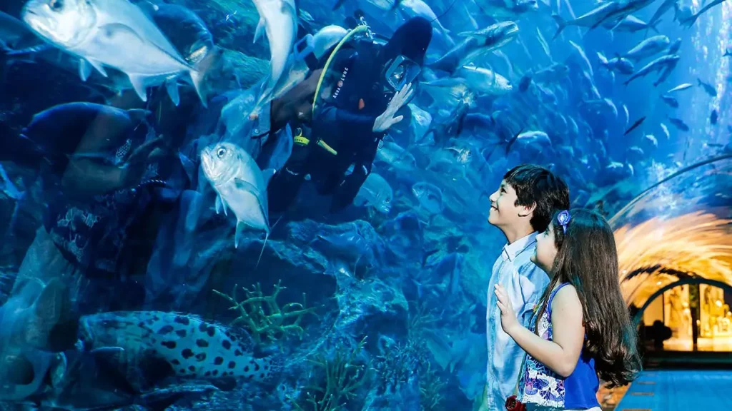 Dubai Aquarium & Underwater Zoo- Redsand -DMC-3