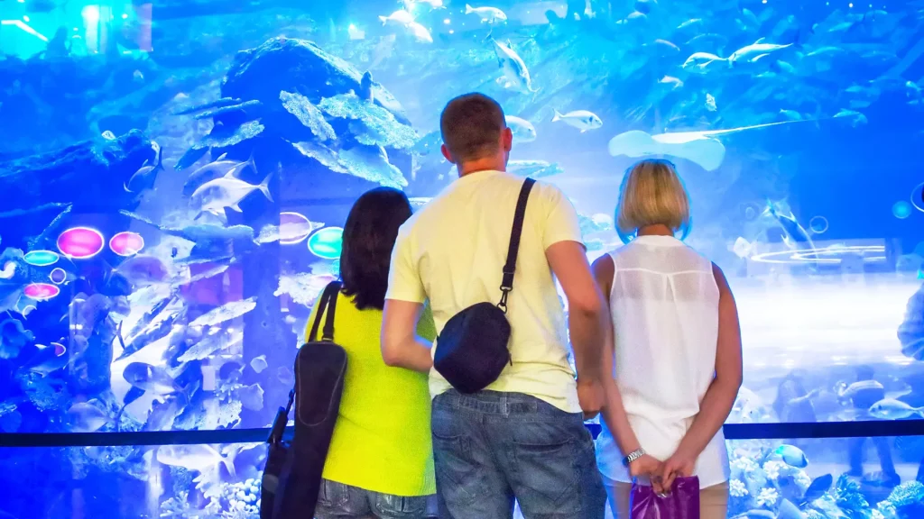 Dubai Aquarium & Underwater Zoo- Redsand -DMC-6