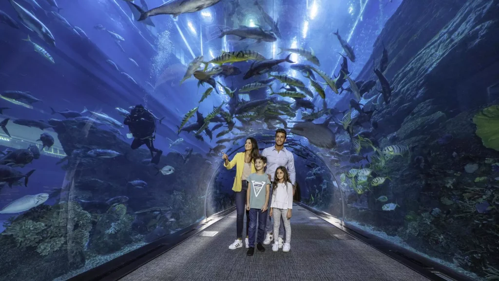 Dubai Aquarium & Underwater Zoo- Redsand -DMC-7