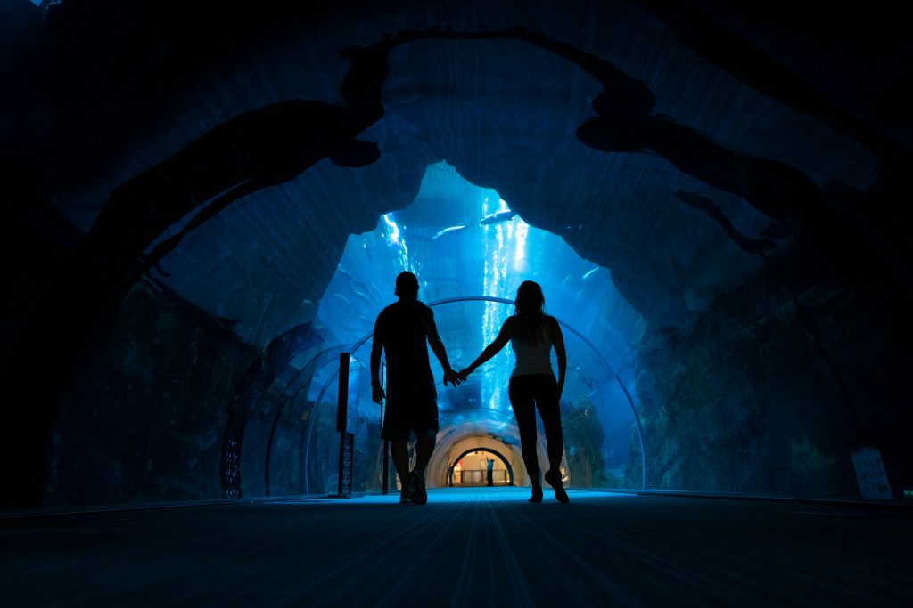 Dubai Aquarium & Underwater Zoo-couple standing - Redsand Dubai