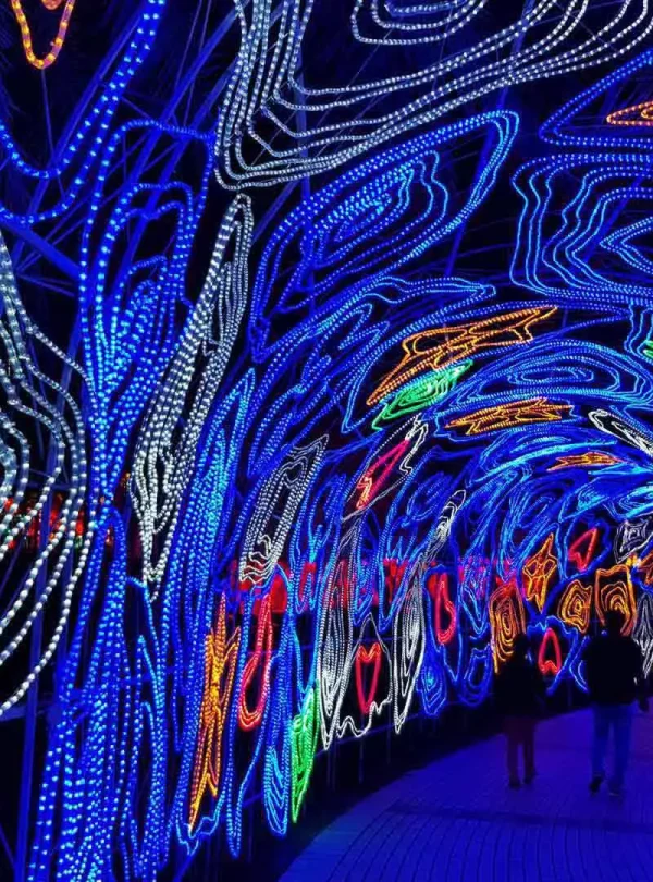 Dubai Glow garden-Redsand-Dubai-DMC-04