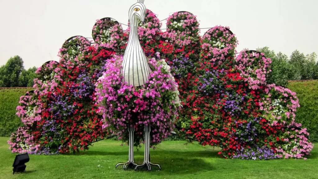 Miracle Garden Dubai-Redsand-01