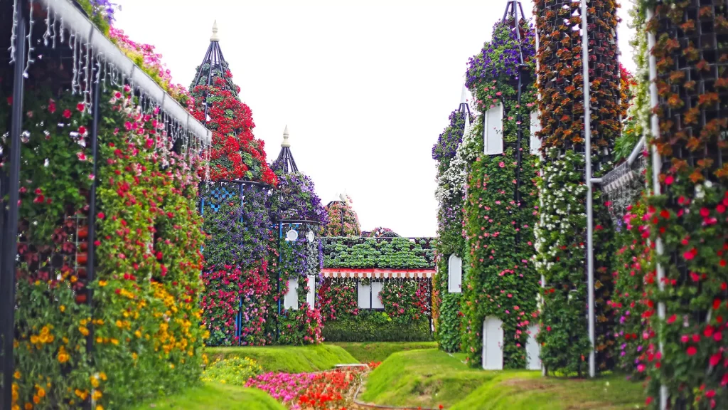 Miracle Garden Dubai-Redsand-02