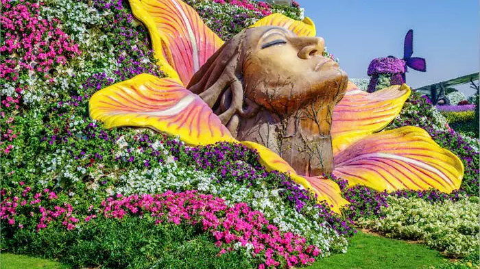 Miracle Garden Dubai-Redsand-05