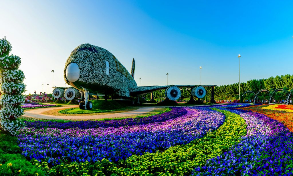 Miracle Garden Dubai - redsand DMC