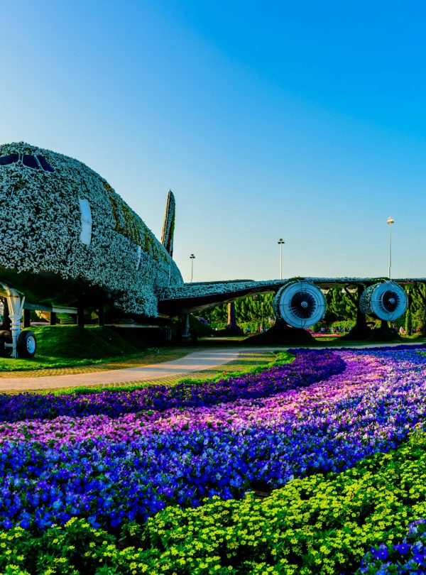 Miracle Garden Dubai - redsand DMC