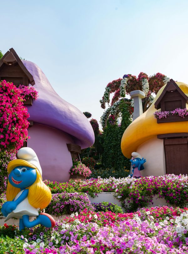 Miracle Garden Dubai view - redsand DMC