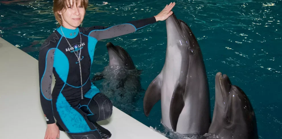 Dubai Dolphinarium Tickets-Redsand Tourism-01