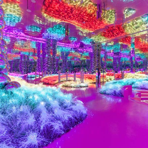 HOH KSA _ Electric Jungle