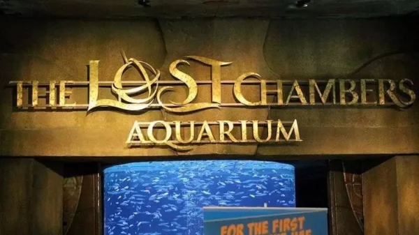 Lost Chambers Aquarium Redsand